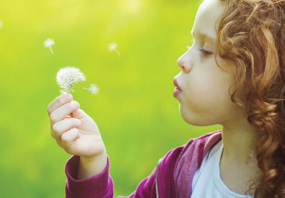 Vďaka minerálnej vlne ECOSE